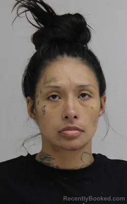 Mugshot of ALMA IBARRA booked in Dallas County, Texas on June 3, 2026