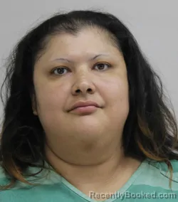 Mugshot of REYNA SALINAS booked in Dallas County, Texas on June 4, 2026
