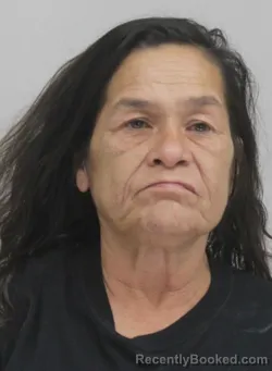 Mugshot of ANNA PENA booked in Dallas County, Texas on June 5, 2026