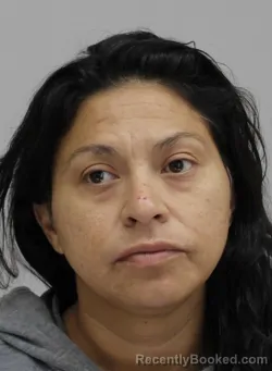 Mugshot of JEANETTE FLORES booked in Dallas County, Texas on June 25, 2026