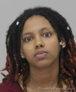 Mugshot of DEBORAH MULUGETA booked in Dallas County, Texas on June 25, 2026