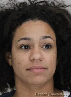 Mugshot of BRITTNEY YOUNG booked in Dallas County, Texas on June 27, 2026