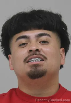 Mugshot of CHRISTOPHER ALFARO booked in Dallas County, Texas on June 28, 2026