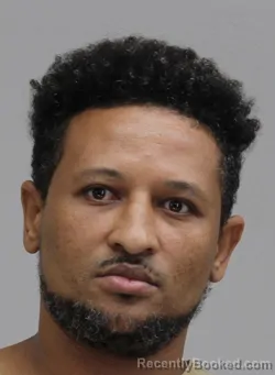 Mugshot of TESFAHUN TESSEMA booked in Dallas County, Texas on June 29, 2026