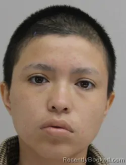Mugshot of VALERIA DIAZ booked in Dallas County, Texas on June 29, 2026