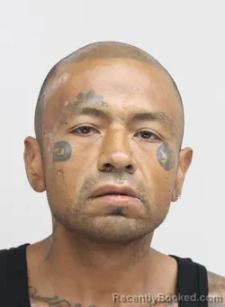 Mugshot of LEWIS SALAZAR booked in Dallas County, Texas on June 30, 2026
