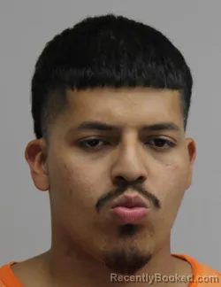 Mugshot of WINTER FLORES booked in Dallas County, Texas on July 2, 2026