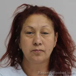 Mugshot of JUDY MUNOZ booked in Dallas County, Texas on July 2, 2026