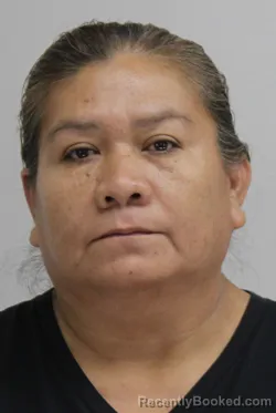 Mugshot of RUFINA JAIMESGONZALEZ booked in Dallas County, Texas on July 14, 2026