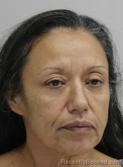 Mugshot of ADELITA MARES booked in Dallas County, Texas on July 14, 2026