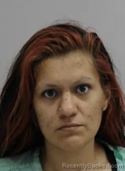 Mugshot of DIANA PALOMARES booked in Dallas County, Texas on July 14, 2026
