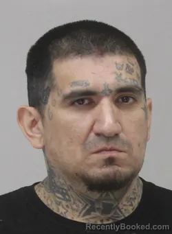 Mugshot of EVERARDO SUAREZ booked in Dallas County, Texas on July 15, 2026