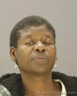 Mugshot of ELIZABETH ANTHONY booked in Dallas County, Texas on July 16, 2026