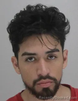 Mugshot of ALI RIVERACARDONA booked in Dallas County, Texas on July 17, 2026