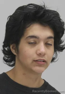 Mugshot of VANESSA MEDINA booked in Dallas County, Texas on July 18, 2026