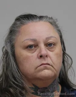 Mugshot of DENISE MEEKS booked in Dallas County, Texas on July 18, 2026