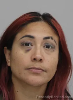 Mugshot of DIANA VILLAGRAN booked in Dallas County, Texas on July 19, 2026