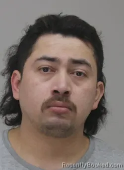 Mugshot of LUIS CORTEZLOVOS booked in Dallas County, Texas on July 19, 2026