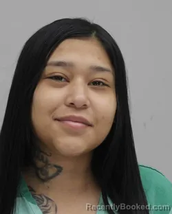 Mugshot of DIANA COLUNGA booked in Dallas County, Texas on July 20, 2026