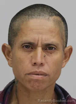 Mugshot of YOLANDA VALDEZ booked in Dallas County, Texas on July 21, 2026