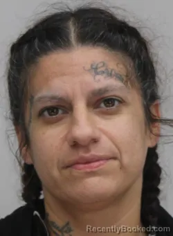 Mugshot of Marlena Sanchez booked in Dallas County, Texas on August 18, 2026