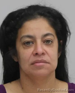 Mugshot of Elisabeth Ontiveros booked in Dallas County, Texas on August 18, 2026