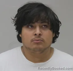 Mugshot of Noel Castillo Hernandez booked in Dallas County, Texas on August 19, 2026