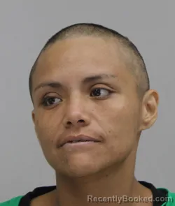 Mugshot of Denisse Alvarezhernandez booked in Dallas County, Texas on August 19, 2026