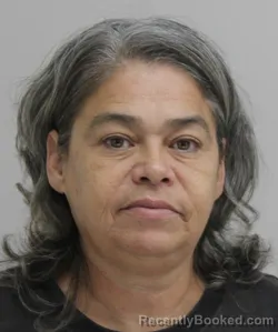 Mugshot of Tracy Sanchez booked in Dallas County, Texas on August 19, 2026