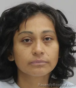 Mugshot of Ana Sanchez booked in Dallas County, Texas on August 20, 2026