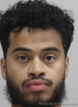 Mugshot of Andres Mejiasevilla booked in Dallas County, Texas on August 20, 2026
