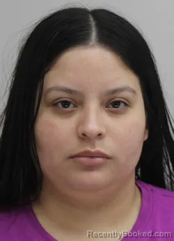 Mugshot of Yelimar Gonzalez booked in Dallas County, Texas on August 22, 2026