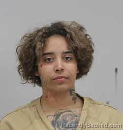 Mugshot of Arianna Walker booked in Dallas County, Texas on August 23, 2026