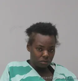 Mugshot of Nikkie Perkins booked in Dallas County, Texas on August 23, 2026