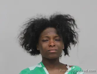 Mugshot of Destiny Rice booked in Dallas County, Texas on August 23, 2026
