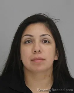 Mugshot of Jennifer Lopez booked in Dallas County, Texas on August 24, 2026