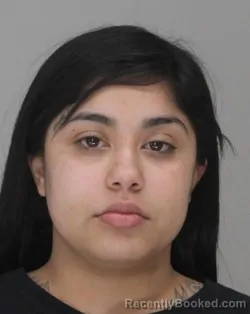 Mugshot of Angie Gaona booked in Dallas County, Texas on August 24, 2026
