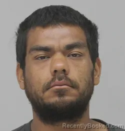 Mugshot of Luis Arreola booked in Dallas County, Texas on August 24, 2026