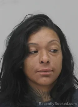 Mugshot of Teresa Gonzalez booked in Dallas County, Texas on August 25, 2026