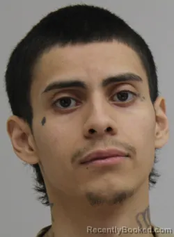 Mugshot of Luis Galvezrocha booked in Dallas County, Texas on August 25, 2026