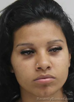 Mugshot of Laisha Diaz booked in Dallas County, Texas on August 27, 2026