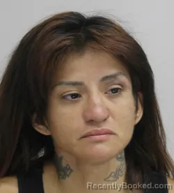 Mugshot of Melissa Cisneros booked in Dallas County, Texas on August 27, 2026