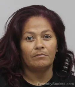 Mugshot of Esmirela Hernandez booked in Dallas County, Texas on August 27, 2026
