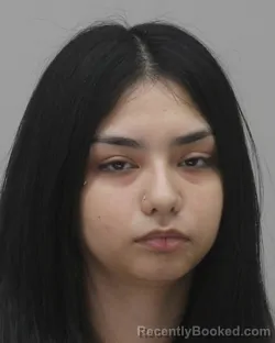 Mugshot of Alexis Davila booked in Dallas County, Texas on August 27, 2026