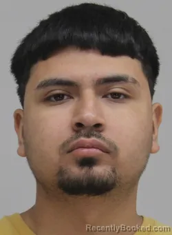 Mugshot of Edgar Dominguez booked in Dallas County, Texas on August 27, 2026