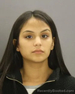 Mugshot of Vanessa Mares booked in Dallas County, Texas on August 28, 2026