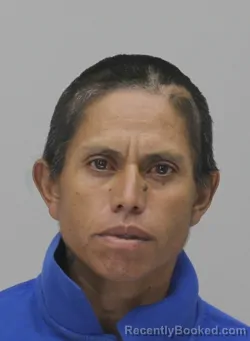 Mugshot of Yolanda Valdez booked in Dallas County, Texas on August 28, 2026