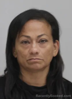 Mugshot of Nancy Ramirezsanchez booked in Dallas County, Texas on August 29, 2026