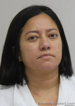 Mugshot of Melissa Ricuartedecastro booked in Dallas County, Texas on August 29, 2026