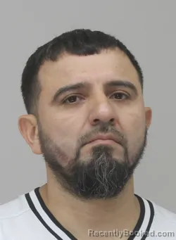 Mugshot of Ever Canizalez booked in Dallas County, Texas on August 29, 2026
